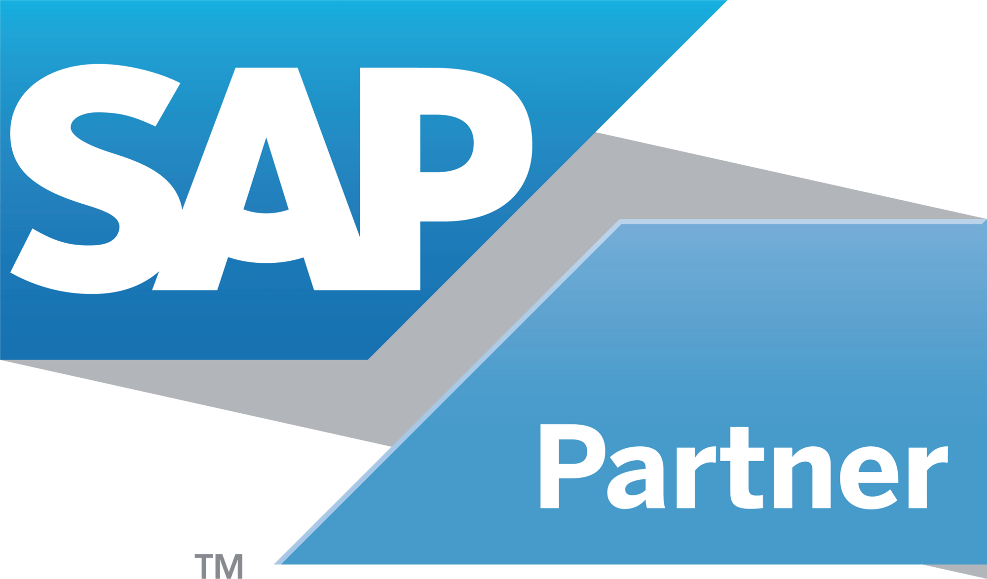 SAP Partner logo